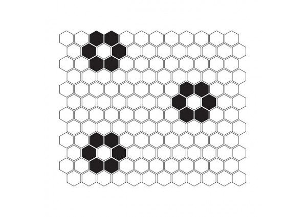 MINI HEXAGON B&W FLOWER